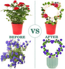 Suporte de Escalada Plant